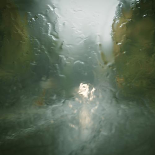 Malahat Drive Rain © Bill Brown