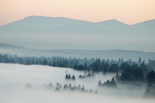 Foggy Day © Brian Clemens