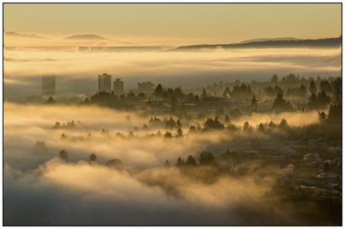 Foggy Morning © Brian Clemens