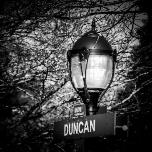 Duncan © Pat Haugen