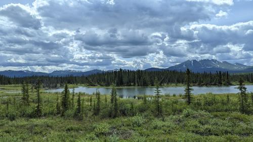 Yukon Landscape © Pat Haugen