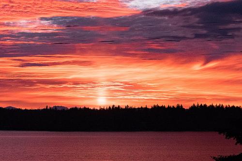 Sunrise Over Cedar © Sue Williams
